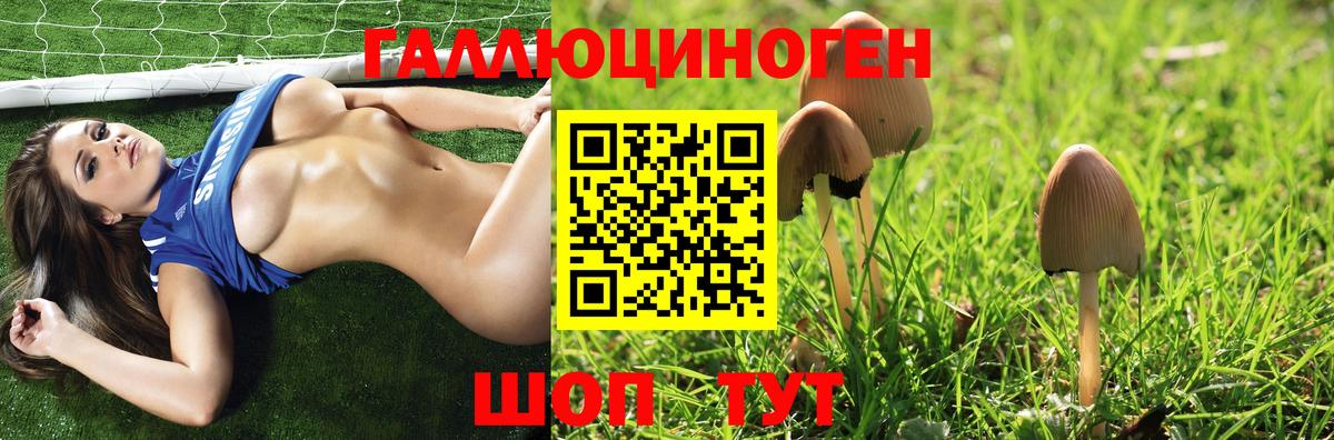 Псилоцибиновые грибы прущие грибы Москва